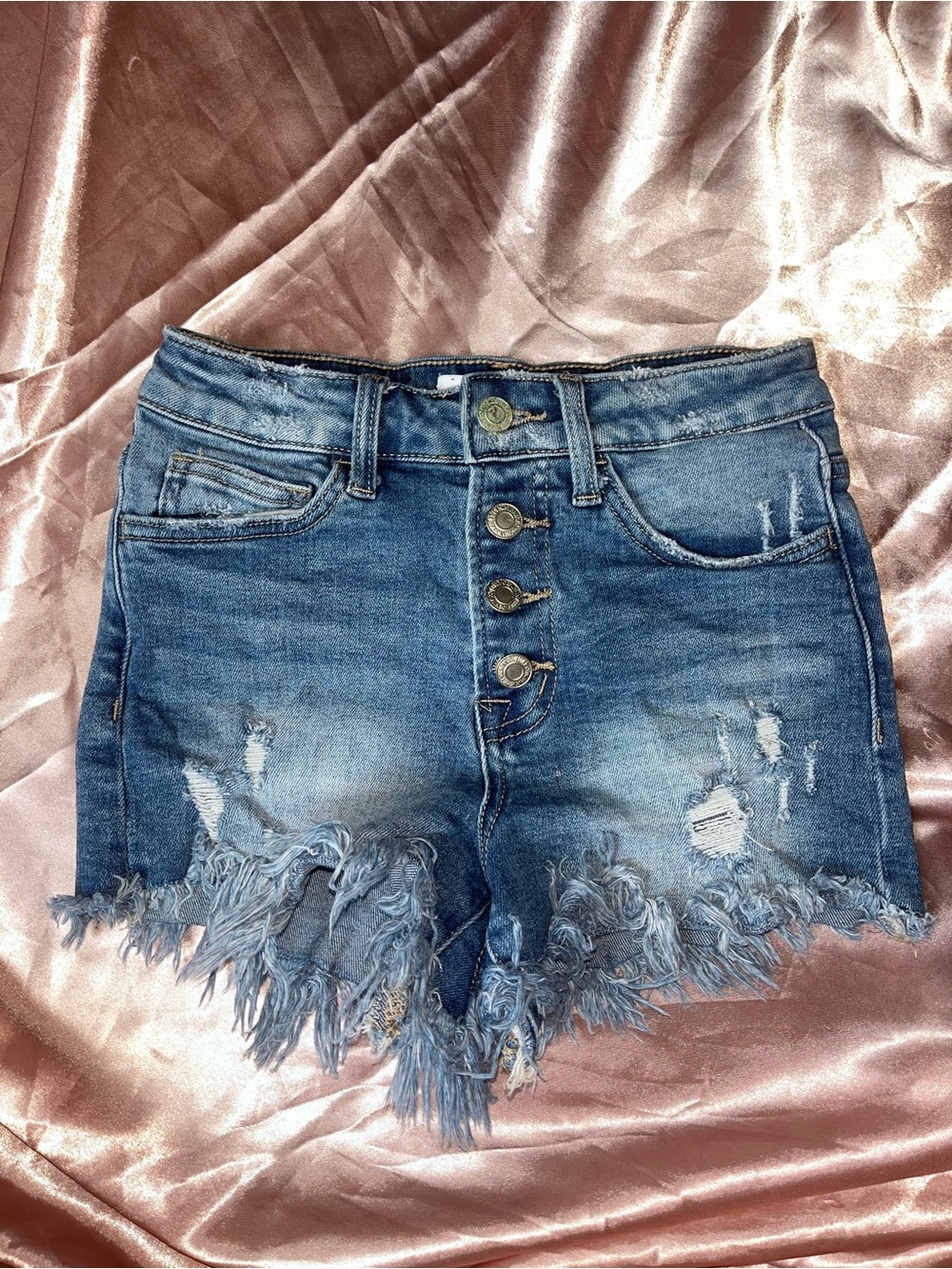 Vervet Frayed Hem Distressed Denim Shorts in Blue